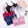 24088 Cotton Lace Inner with padding