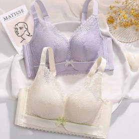 Premium Push Up Bra 1630