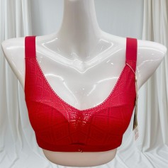 6253 Premium Push Bra