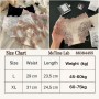 Socialite Series Ladies Panties 04 (45-75kg)