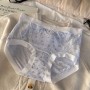 Socialite Series Ladies Panties (10) 10A (45-100kg) 883780