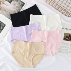 Seamless Panties 4112