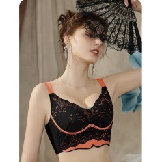 2462 Premium Quality Push bra