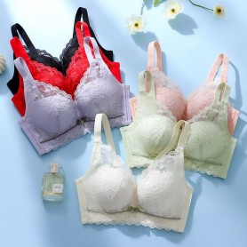 2311 Flower Lace Bra 4 hook