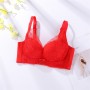 Premium Latex Bra 222