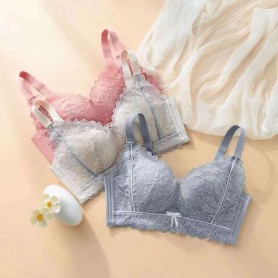 Premium Quality Push bra 2309