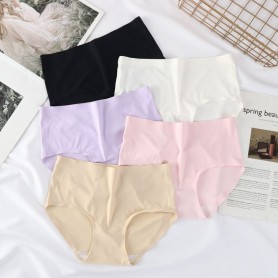 4113 Plus Size Seamless Panties