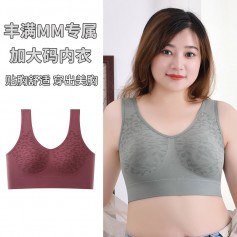 2055 Plus Size Sport bra