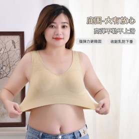 2055 Plus Size Sport bra