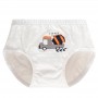 Kids Cotton Boy Panties Boxer  k113 (5pcs)